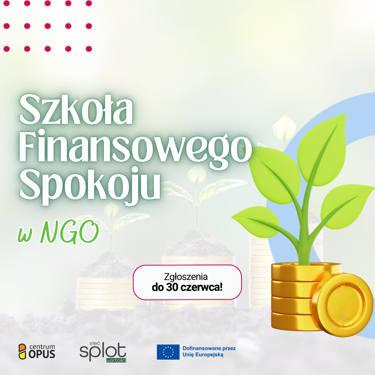Szkoła Finansowego Spokoju w NGO Zgłoszenia do 30 czerwca