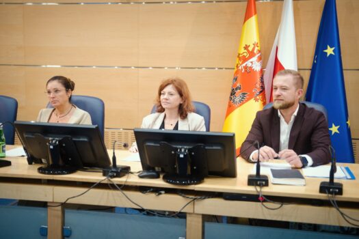 zdjęcie przedstawia członków Łódzkiej Wojewódzkiej Rady Działalności Pożytku Publicznego VI kadencji na 3 posiedzeniu w dniu 27 sierpnia 2026 roku w budynku Urzędu Marszałkowskiego Województwa Łódzkiego w Łodzi